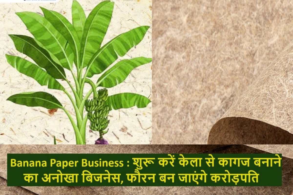 Small Business Ideas in Hindi 2024